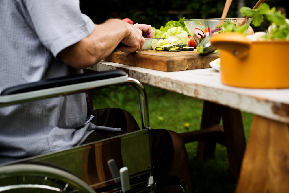 חופש תנועה ופנאי